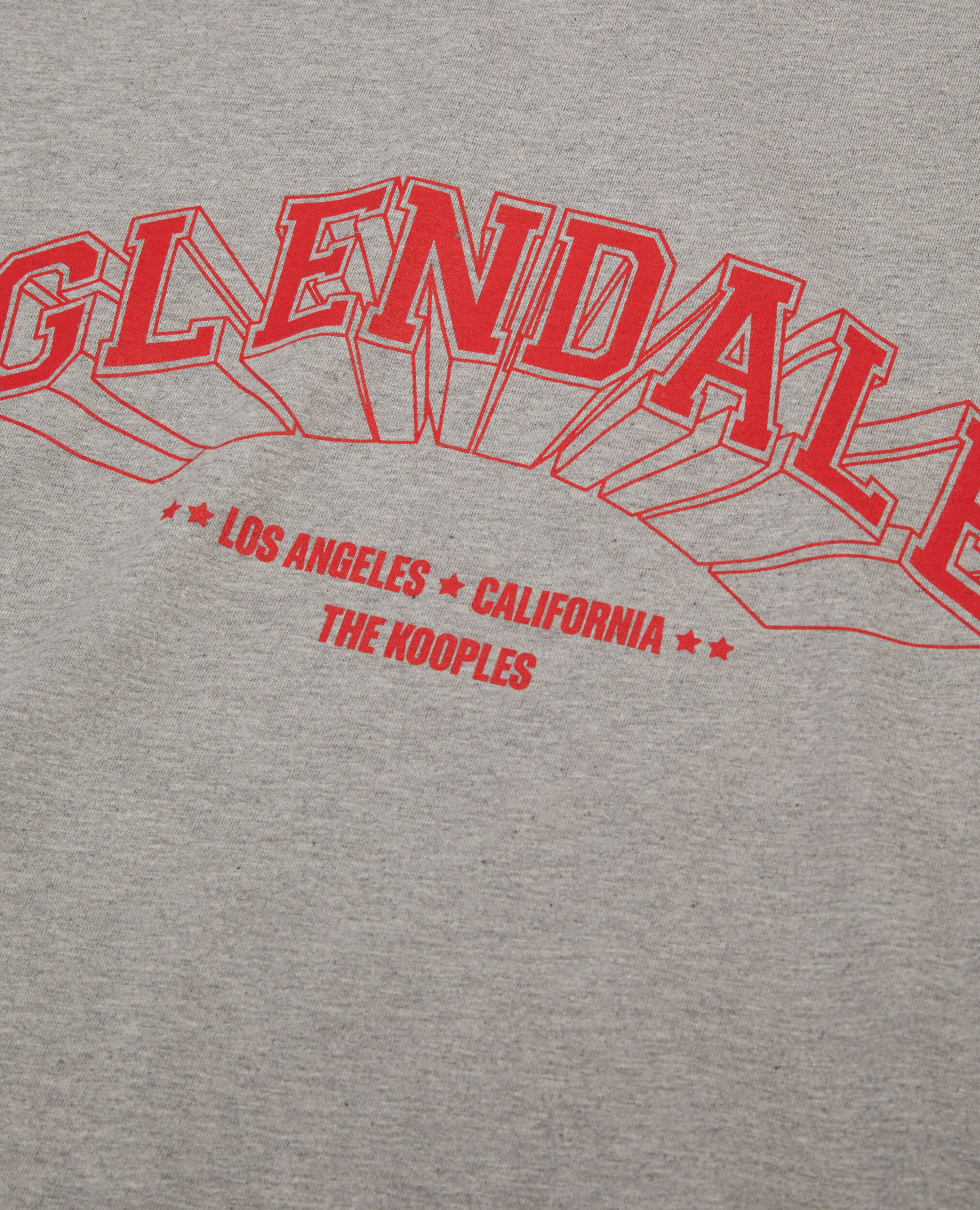 Graues T-Shirt mit Glendale-Siebdruck, ARDOISE, hi-res image number null