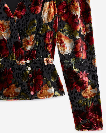 , MULTICOLOR, hi-res image number null