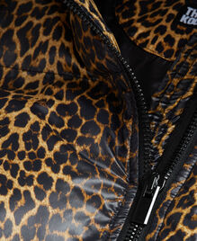 , LEOPARD, hi-res image number null