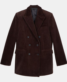 , BROWN, hi-res image number null