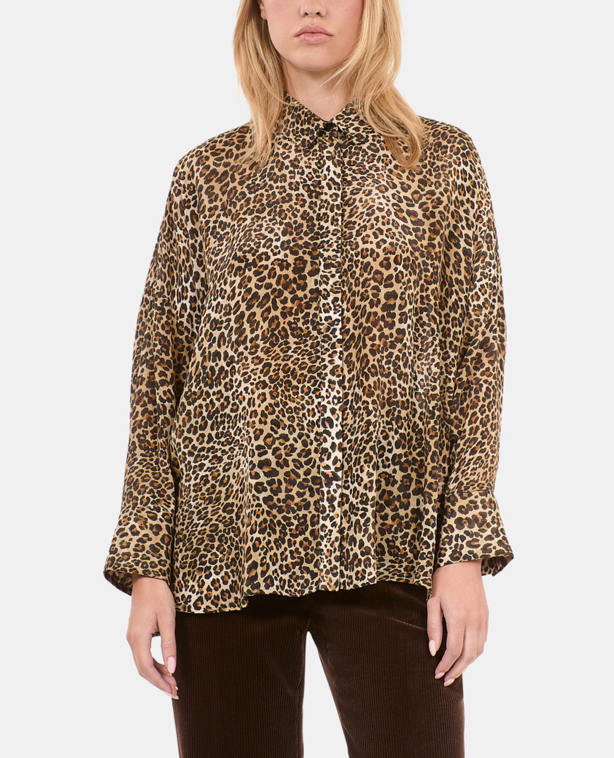 , LEOPARD, hi-res image number null