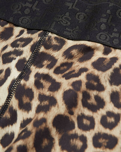 , LEOPARD, hi-res image number null
