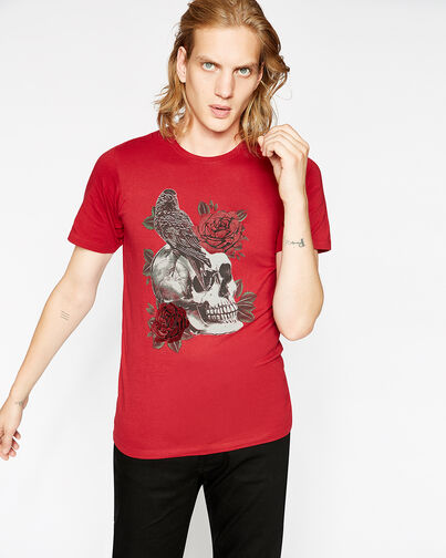 , RED, hi-res image number null