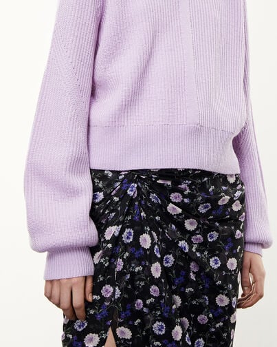, PURPLE, hi-res image number null