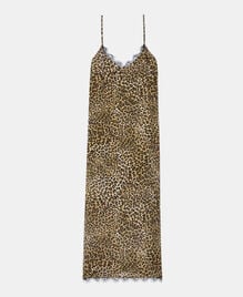 , LEOPARD, hi-res image number null