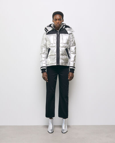 , SILVER, hi-res image number null