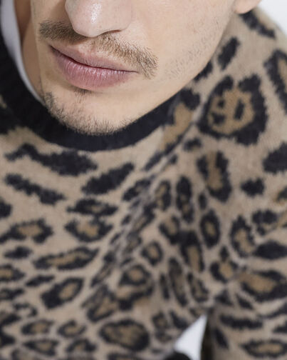 , LEOPARD, hi-res image number null