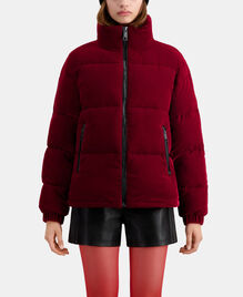 , DARK BURGUNDY, hi-res image number null