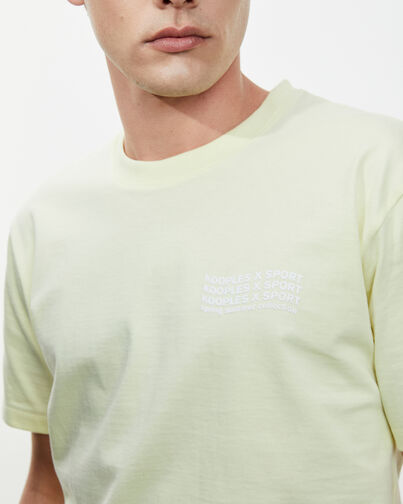 , YELLOW, hi-res image number null