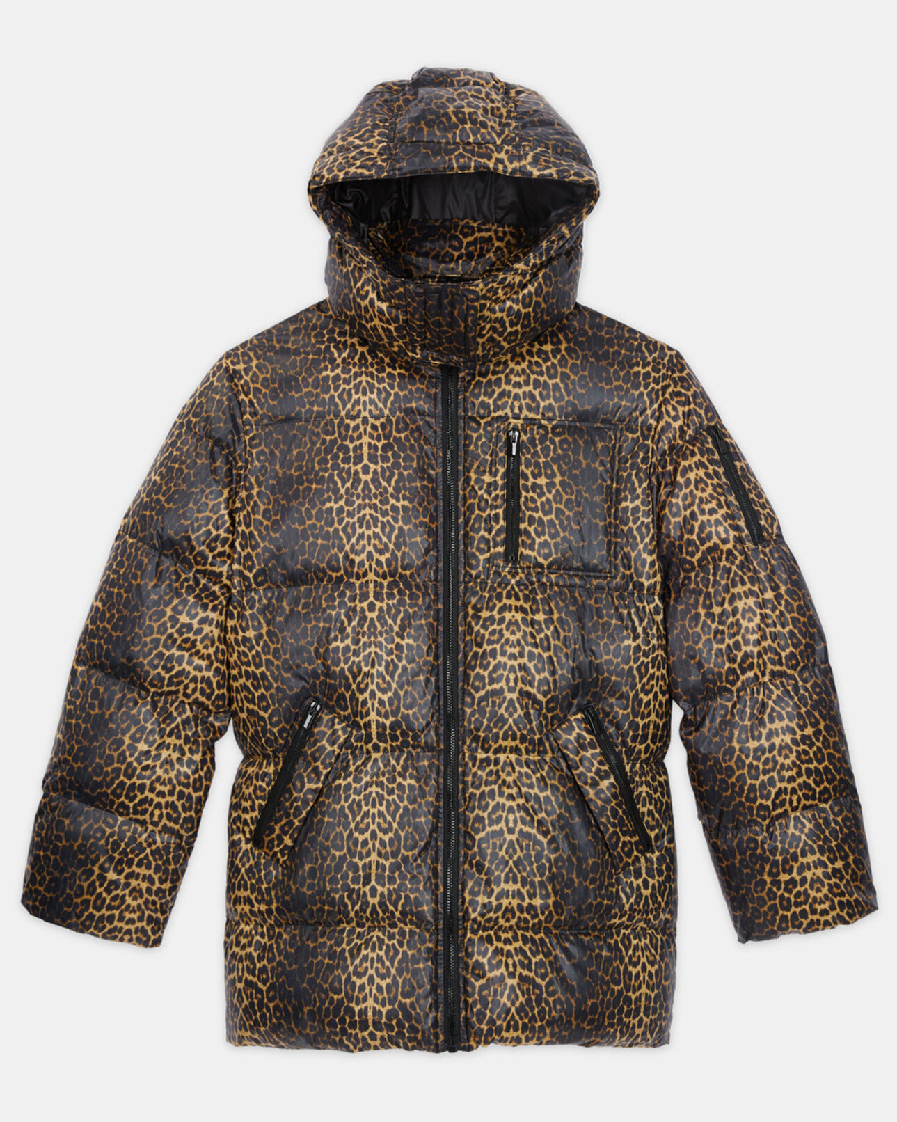 The Kooples WOMEN LEOPARD leopard print oversized down jacket with straps and logo