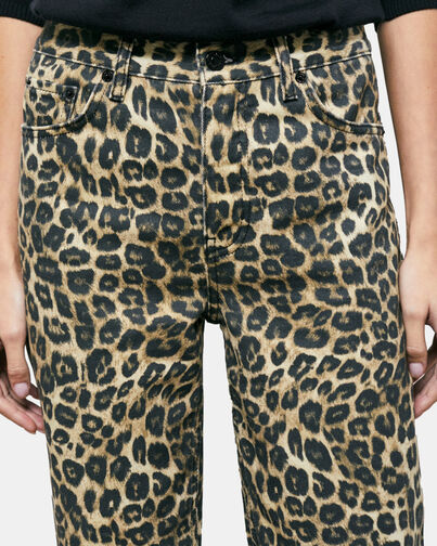 , LEOPARD, hi-res image number null