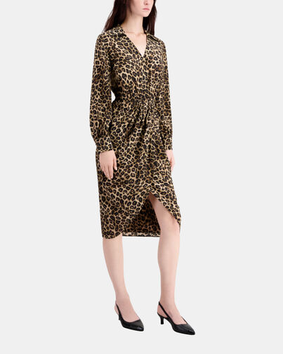, LEOPARD, hi-res image number null