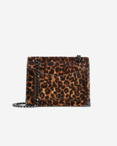 , LEOPARD, hi-res image number null