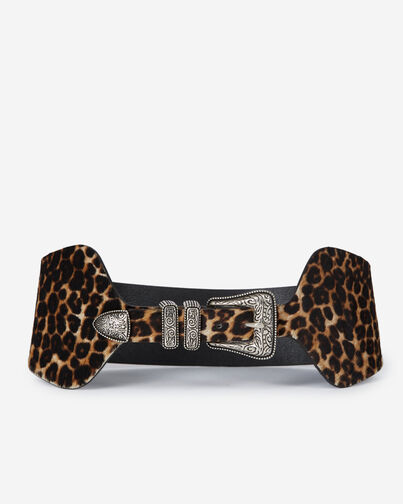, LEOPARD, hi-res image number null