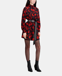 , BLACK - RED, hi-res image number null