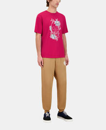 , CHERRY, hi-res image number null