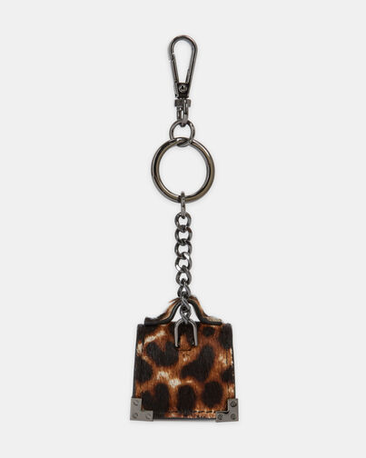 , LEOPARD, hi-res image number null
