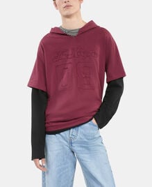 , BURGUNDY, hi-res image number null