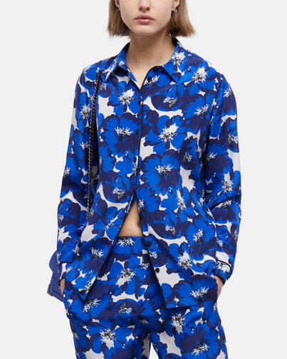 , BLUE, hi-res image number null