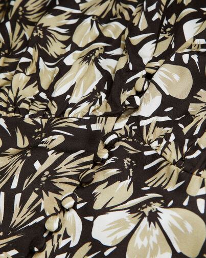 , BLACK BROWN, hi-res image number null