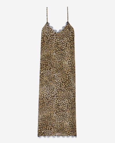 , LEOPARD, hi-res image number null