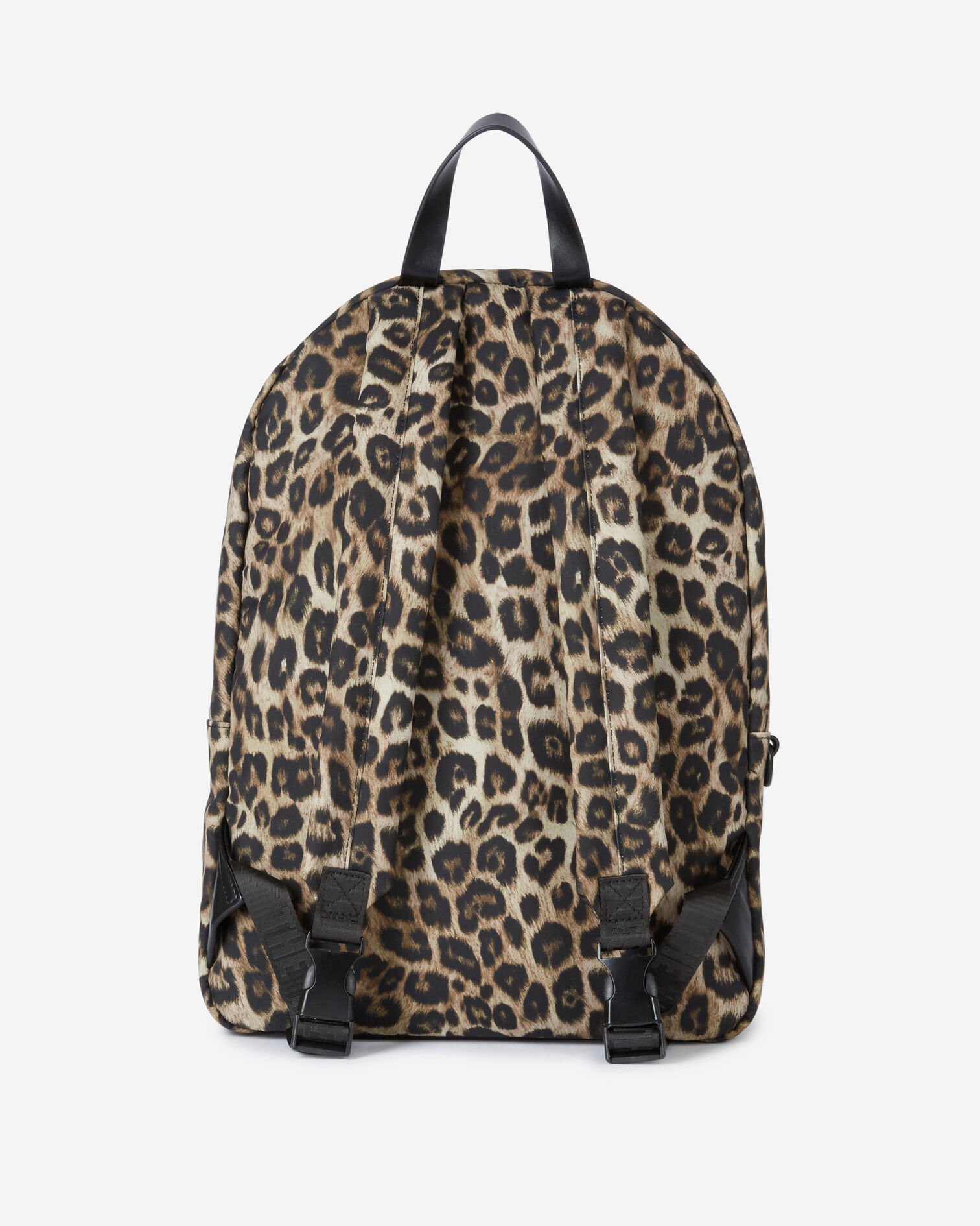 , LEOPARD, hi-res image number null