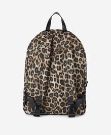 , LEOPARD, hi-res image number null