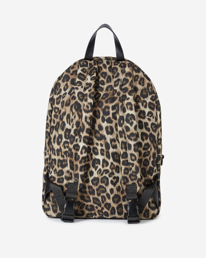 , LEOPARD, hi-res image number null