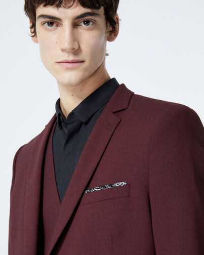 , BURGUNDY, hi-res image number null
