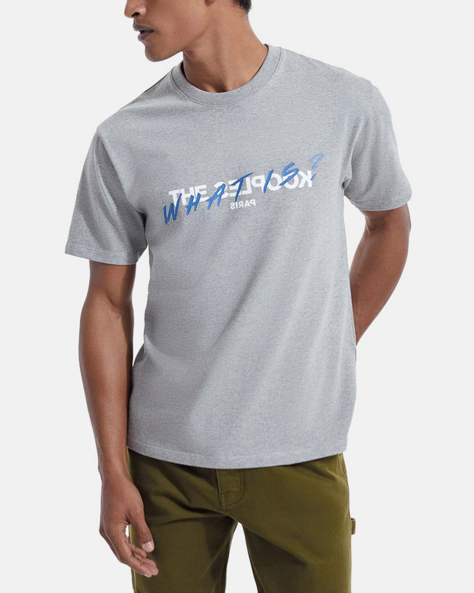 T-shirt gris coton imprimé What is, GREY MELANGE, hi-res image number null