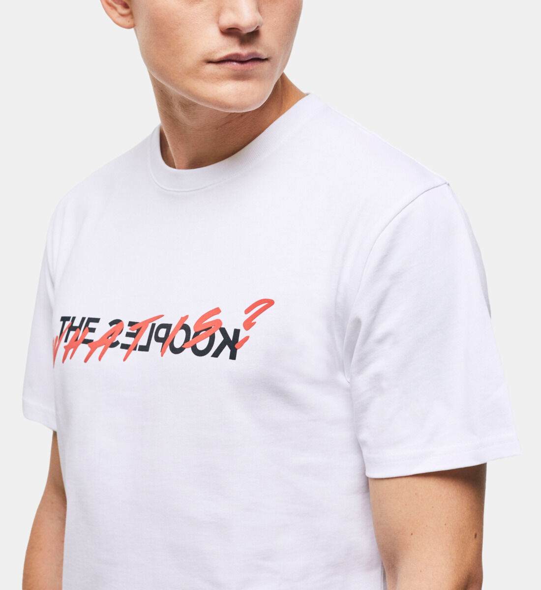 Tee shirt 2025 the kooples homme