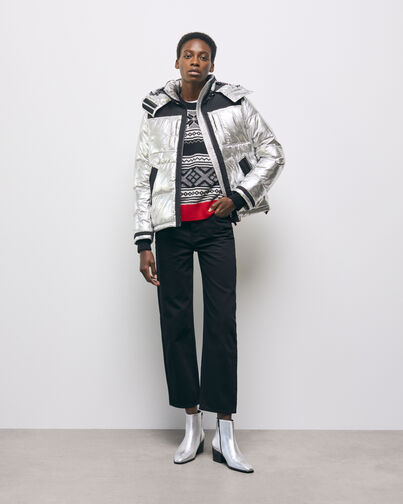 , SILVER, hi-res image number null