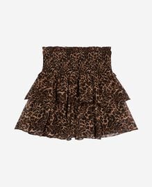 , LEOPARD, hi-res image number null