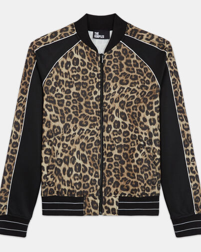 , LEOPARD, hi-res image number null