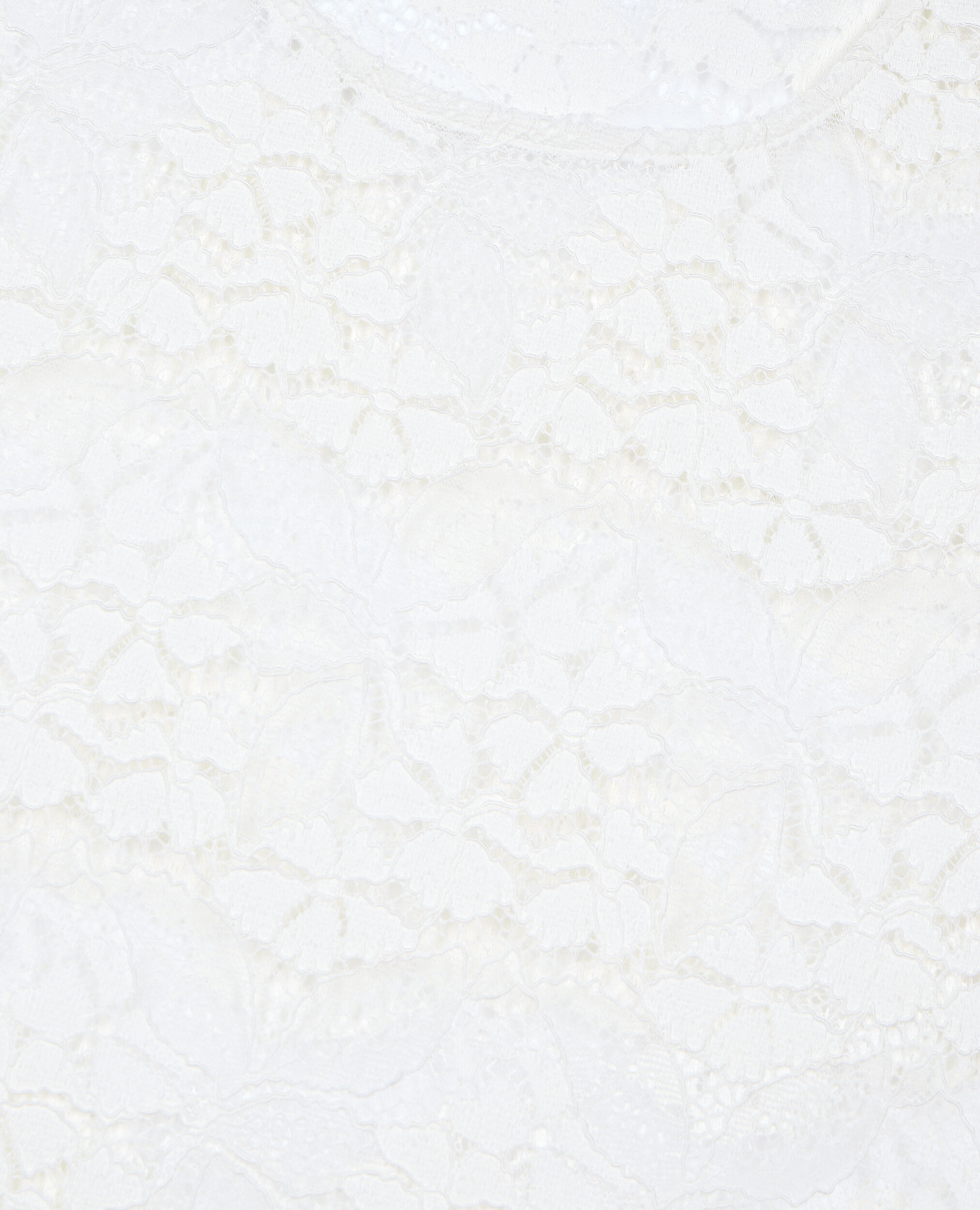 Ecru lace top, ECRU, hi-res image number null