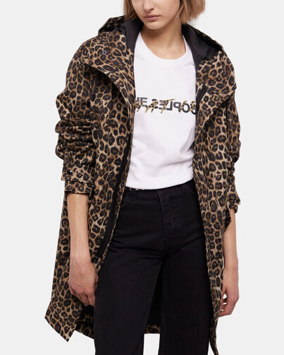 , LEOPARD, hi-res image number null