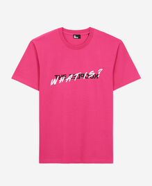 , FUSHIA, hi-res image number null