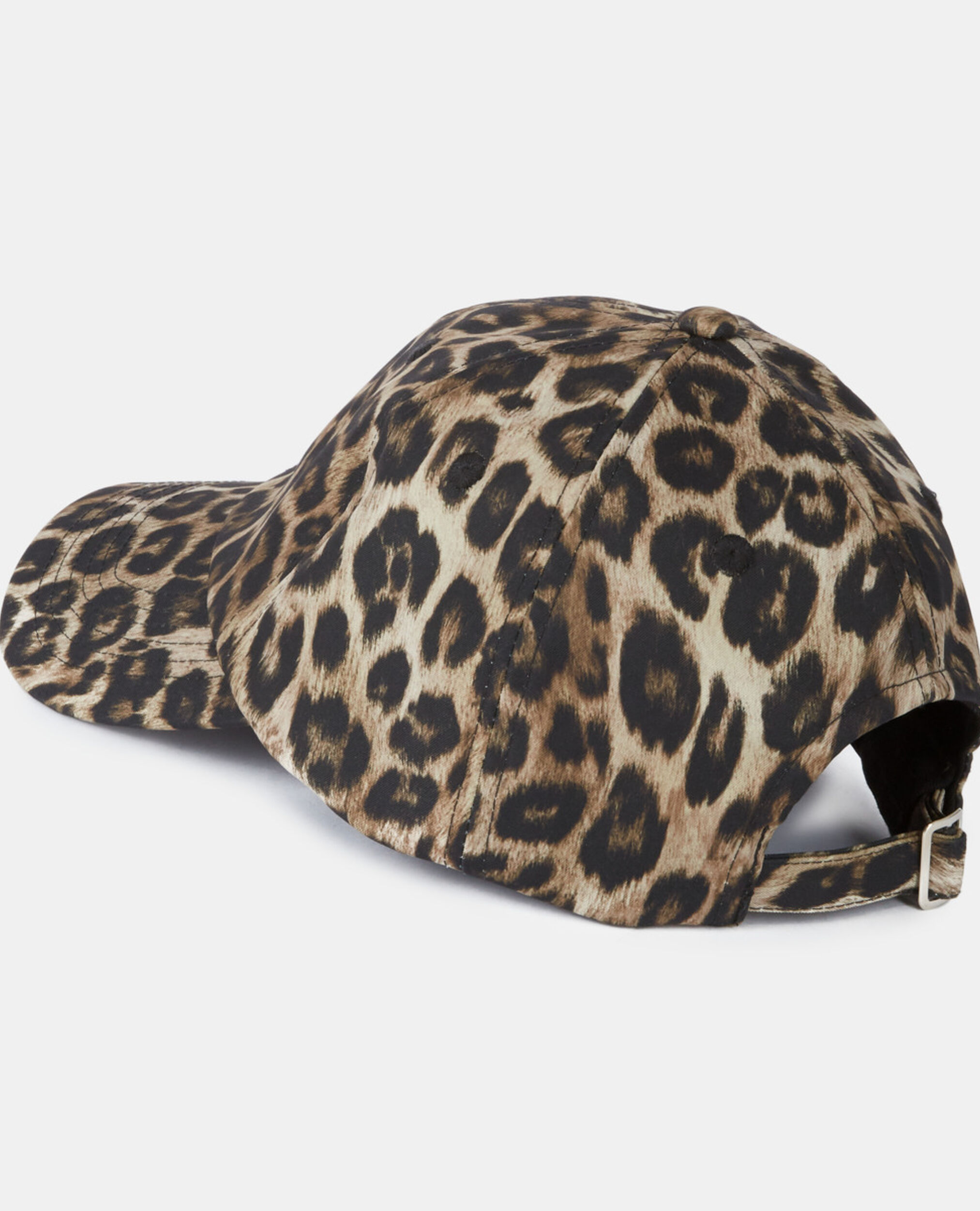, LEOPARD, hi-res image number null