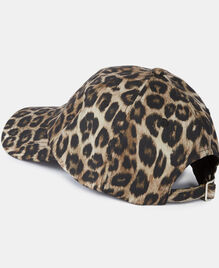 , LEOPARD, hi-res image number null