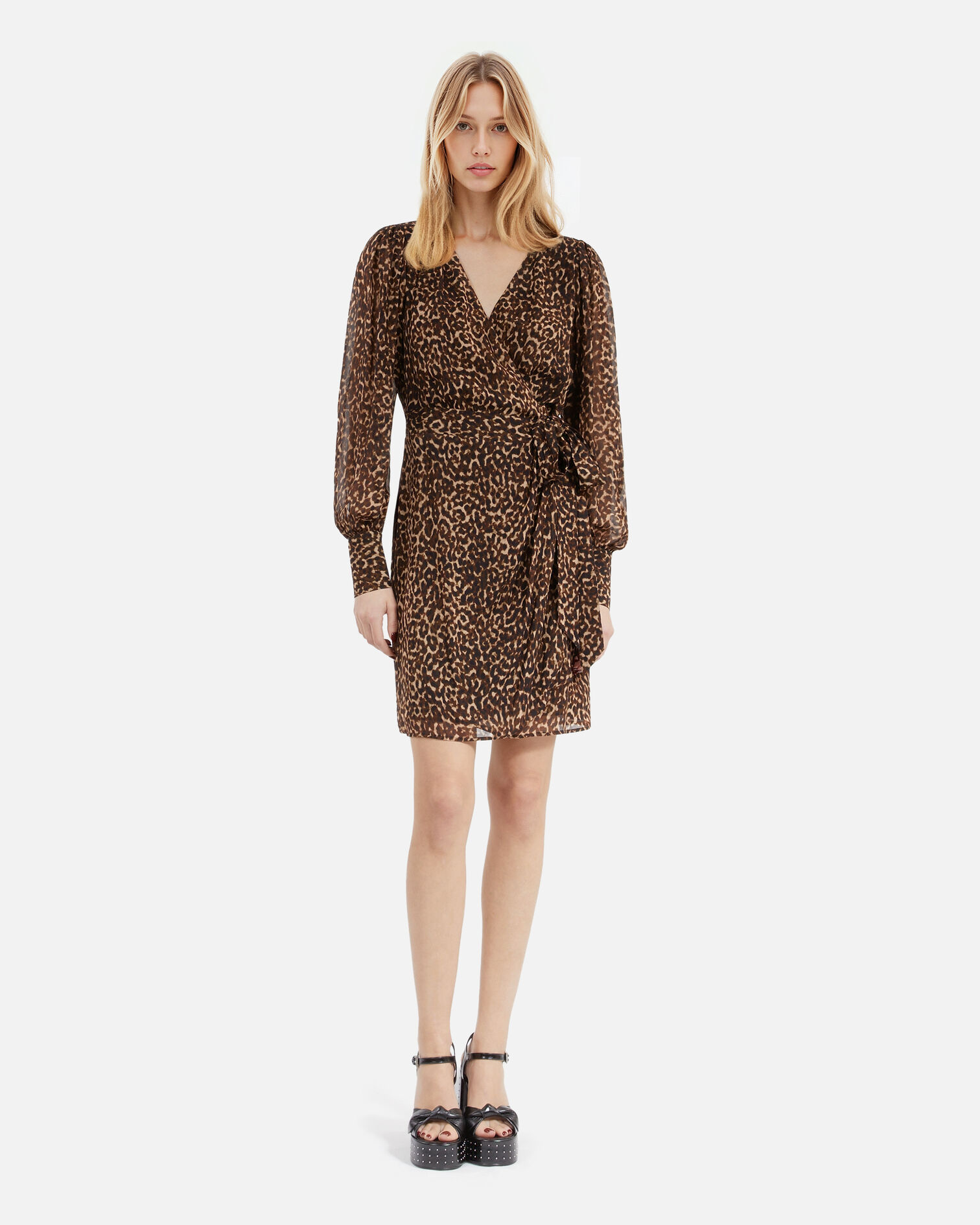 , LEOPARD, hi-res image number null