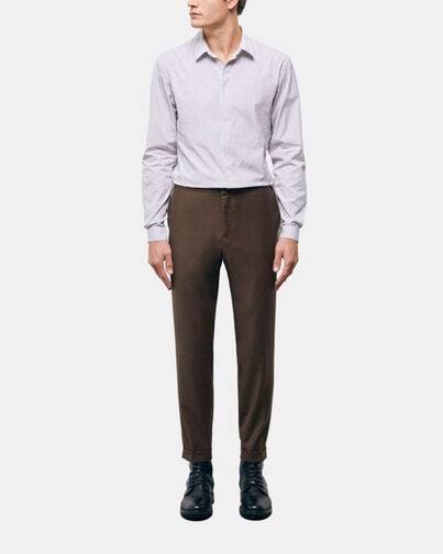 , BROWN, hi-res image number null