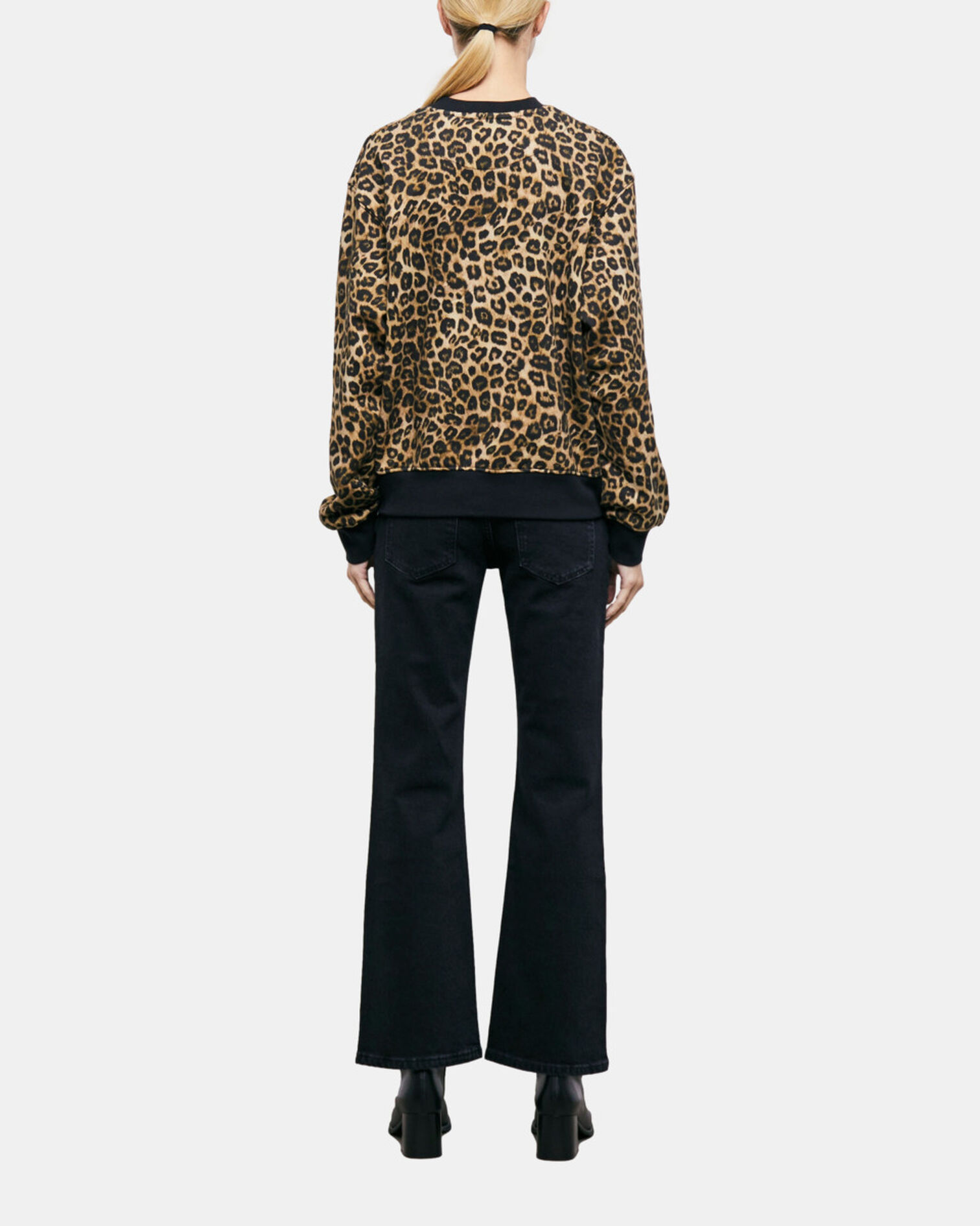 , LEOPARD, hi-res image number null