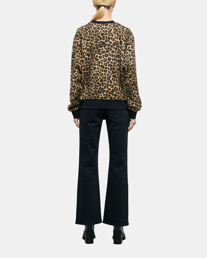 , LEOPARD, hi-res image number null