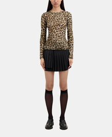 , LEOPARD, hi-res image number null