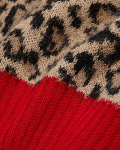 , LEOPARD, hi-res image number null