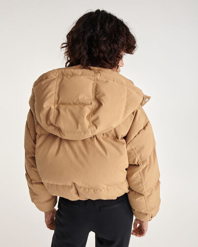 , BEIGE, hi-res image number null