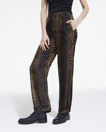 , LEOPARD, hi-res image number null