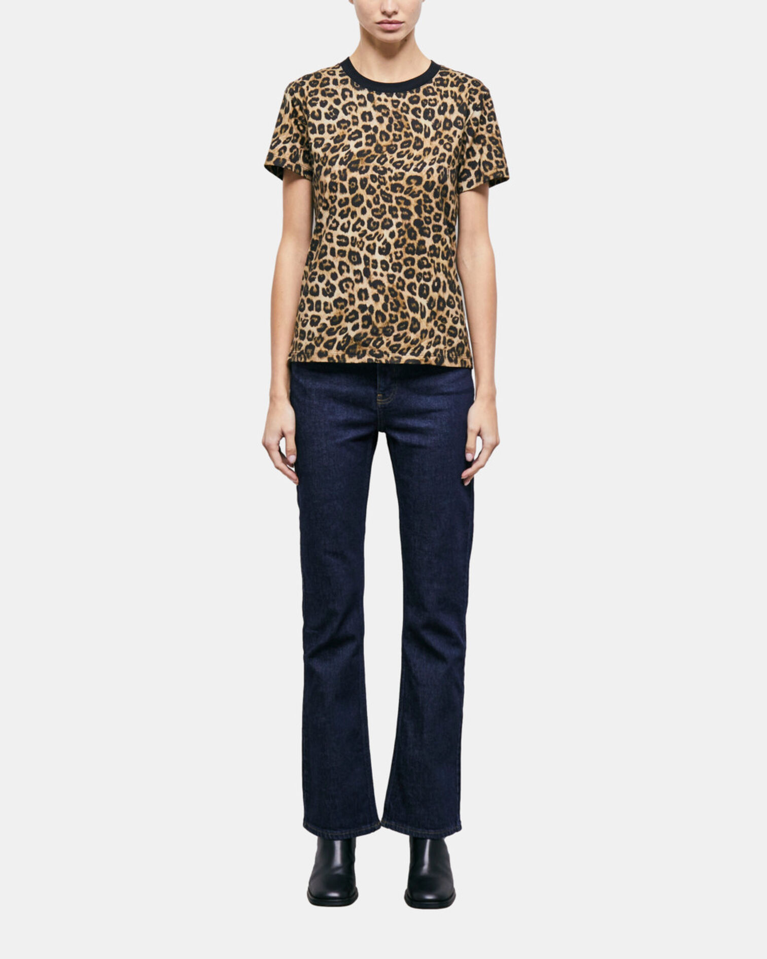 , LEOPARD, hi-res image number null