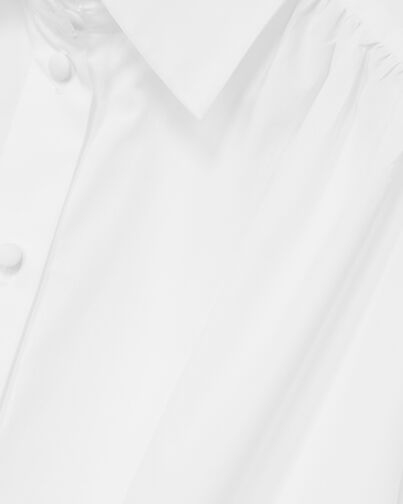 , WHITE, hi-res image number null