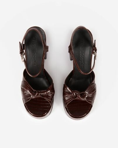 , BROWN, hi-res image number null